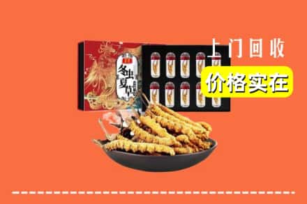 绍兴上虞区回收冬虫夏草